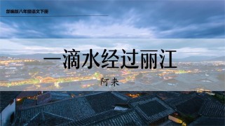 八年级语文下册20课讲了什么重点？