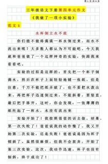 奇妙实验室作文600