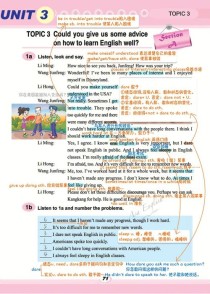 仁爱英语九年级topic3