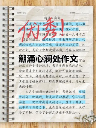 叙事有波澜的作文