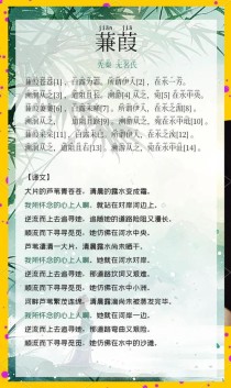 关雎蒹葭古诗深意何在？