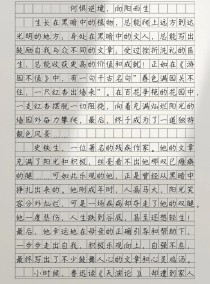 中学生优秀作文600字，如何写出高分？