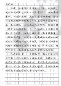 身边美景何处动人？平凡日常藏多少美？