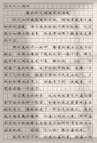 初中作文大全600字