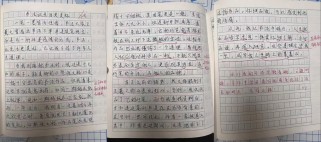 南京一模2025作文的核心立意是什么？