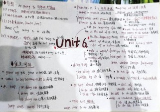 八年级上英语第六单元核心考点有哪些？