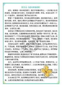 2025衢州中考作文会考什么题目？