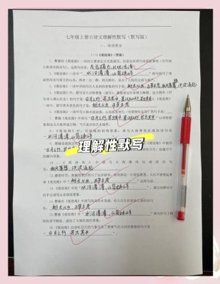 初中古诗文默写，理解性考点怎么破？