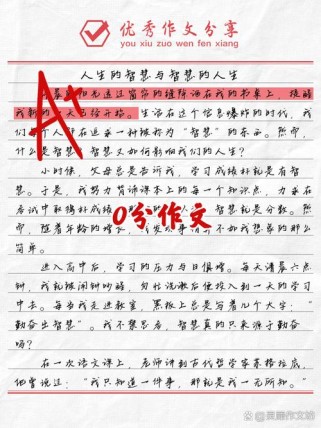江苏高考0分作文