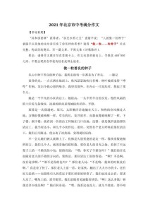 中考满分作文善良