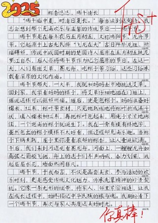 我的端午作文初中