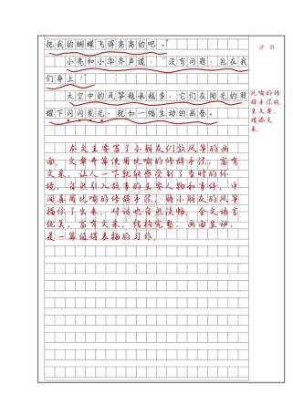 小学生作文批改有哪些核心要求？