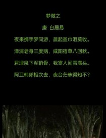 古人如何借诗言尽心中哀伤？