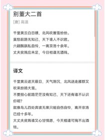 古诗别董大教案如何设计？