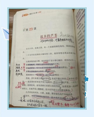 芦苇阅读6年级题答案是什么？