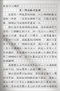 中考满分作文坚持，满分秘诀何在？