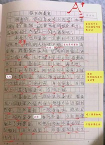 咬文嚼字颜值黄渤作文