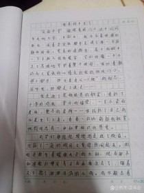 600字初中优秀作文如何炼成？