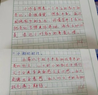 我学会作文的评语里藏着什么秘密？