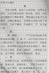 对语文课的看法作文