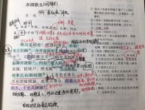 水调歌头赏析题考点与答题技巧是什么？