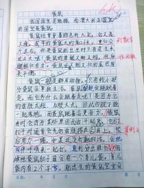 说明文写动物，如何抓住动物特点？