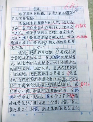 说明文写动物，如何抓住动物特点？