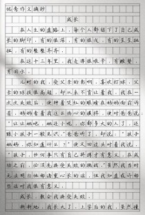 如何按自己的节奏成长？