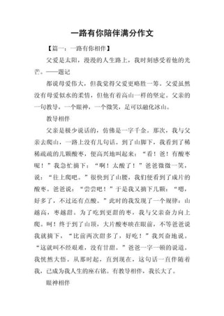 中考满分作文 陪伴