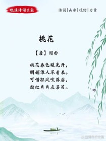 古诗鉴赏考试，桃花意象如何解？