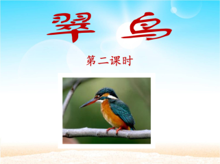 翠鸟PPT三年级下册有哪些重点内容？