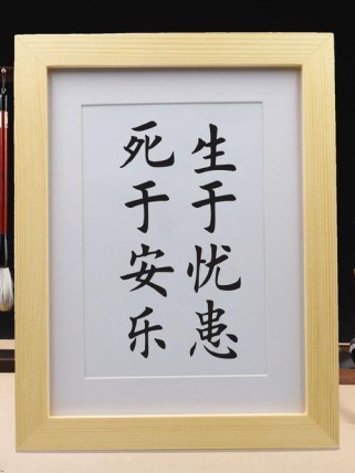 生于安乐 死于忧患古诗