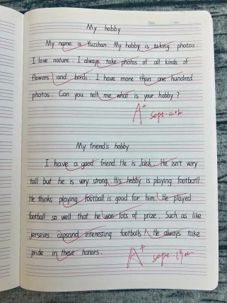 英语作文怎么写？求指导！