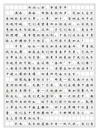 2025年河北中考作文