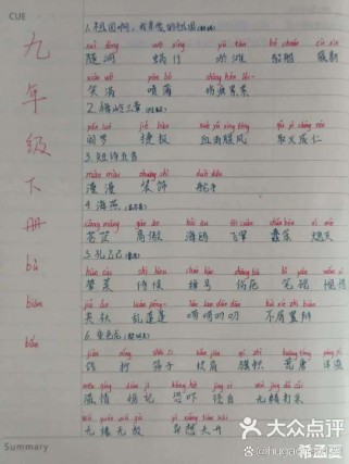 九年级下册生字词拼音有哪些易错字？