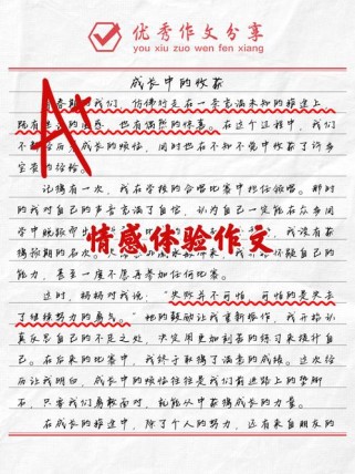 是怎样的体验作文，如何写出真情实感？