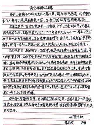 鲁迅作文素材如何写出深度与个性？