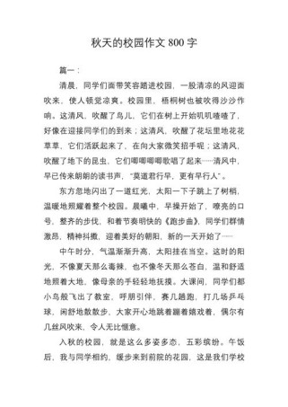 初中学校作文800字怎么写？