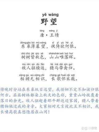 八年级古诗《野望》