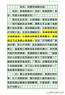 中考满分作文历史