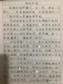 七年级苏教版语文作文怎么写？