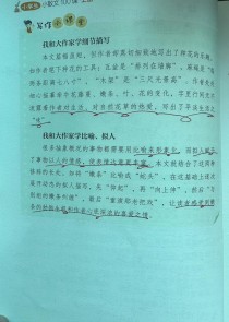 牵牛花阅读答案四年级