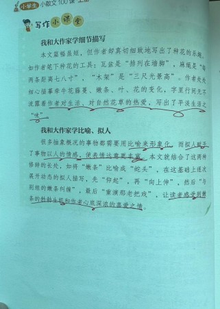 牵牛花阅读答案四年级