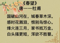 春望如何体现杜甫家国情怀？