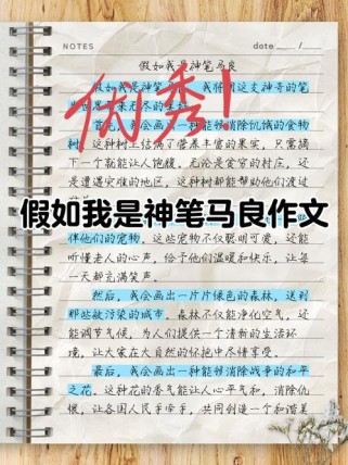 假如的背后藏着怎样的真实与渴望？