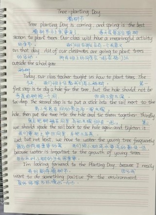 英语作文环境描写如何写出画面感与感染力？