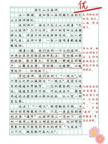 闲对风光独自游作文600字