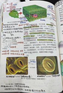 七年级上册第三单元生物