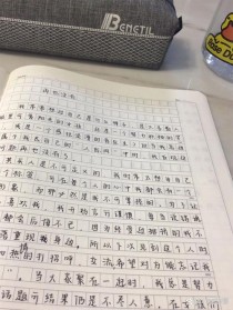 初中作文再也没有什么了？