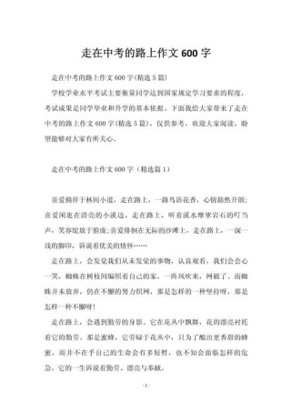 初三 路 的作文